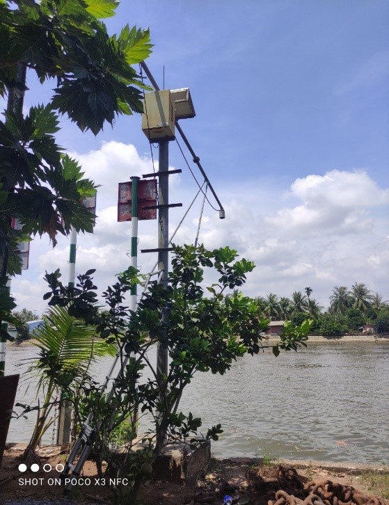 Cuc duong thuy 2